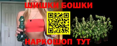 хмурый Сланцы